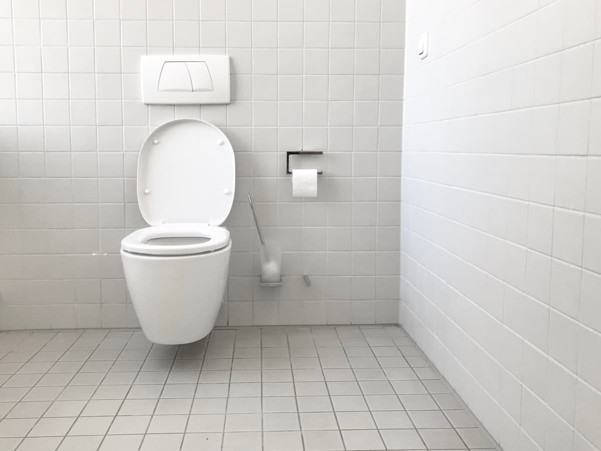 TOTO Washlet vs TECE гигиеналық қақпақтары: тәсілдерді салыстыру